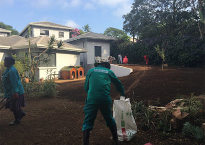instant lawn installation