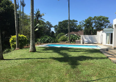 instant lawn installation