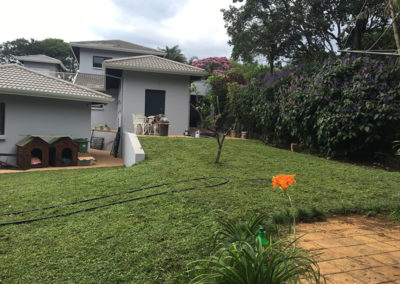 instant lawn installation