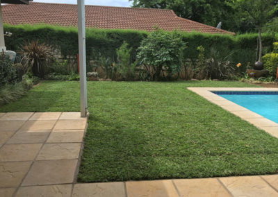instant lawn installation