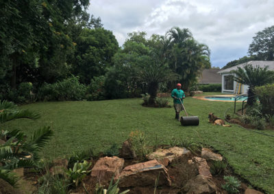 instant lawn installation