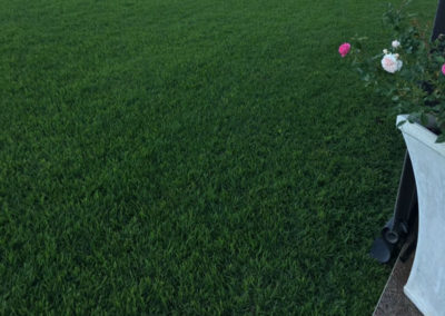 instant lawn installation