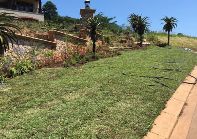 instant lawn installation