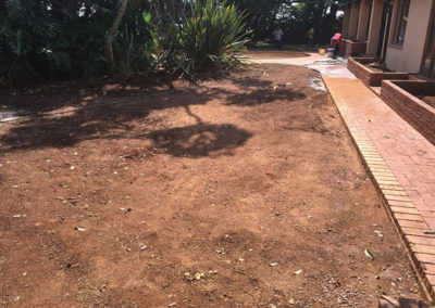 instant lawn installation
