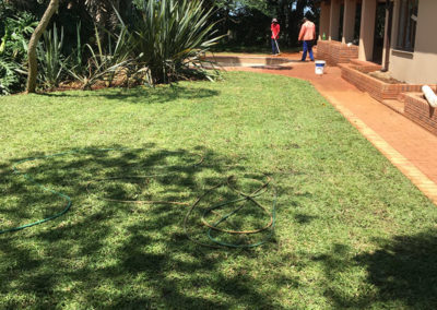 instant lawn installation