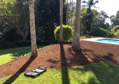 instant lawn installation