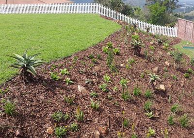Garden Landscaping
