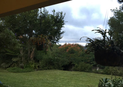 Garden Landscaping