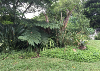 Garden Landscaping