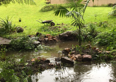Garden Landscaping