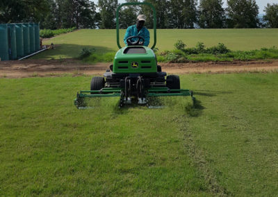 grass cutting and maintenance