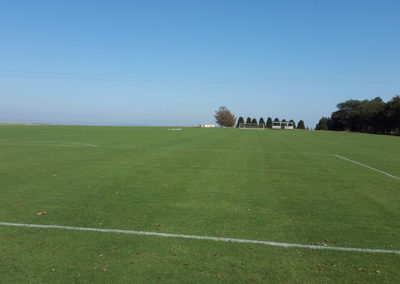 soccer pitch