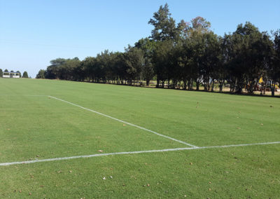 soccer pitch