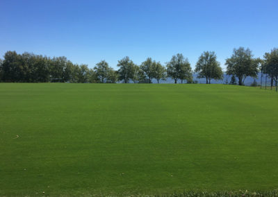 cricket field