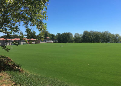 cricket field