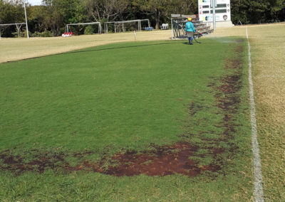 cricket pitch preparation