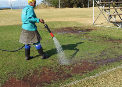 cricket pitch preparation