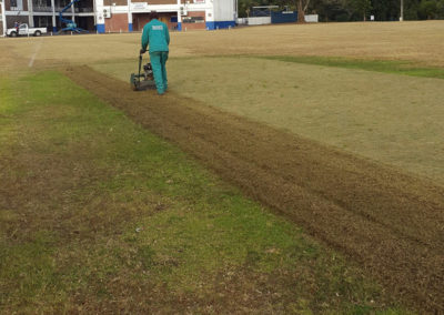 cricket pitch preparation
